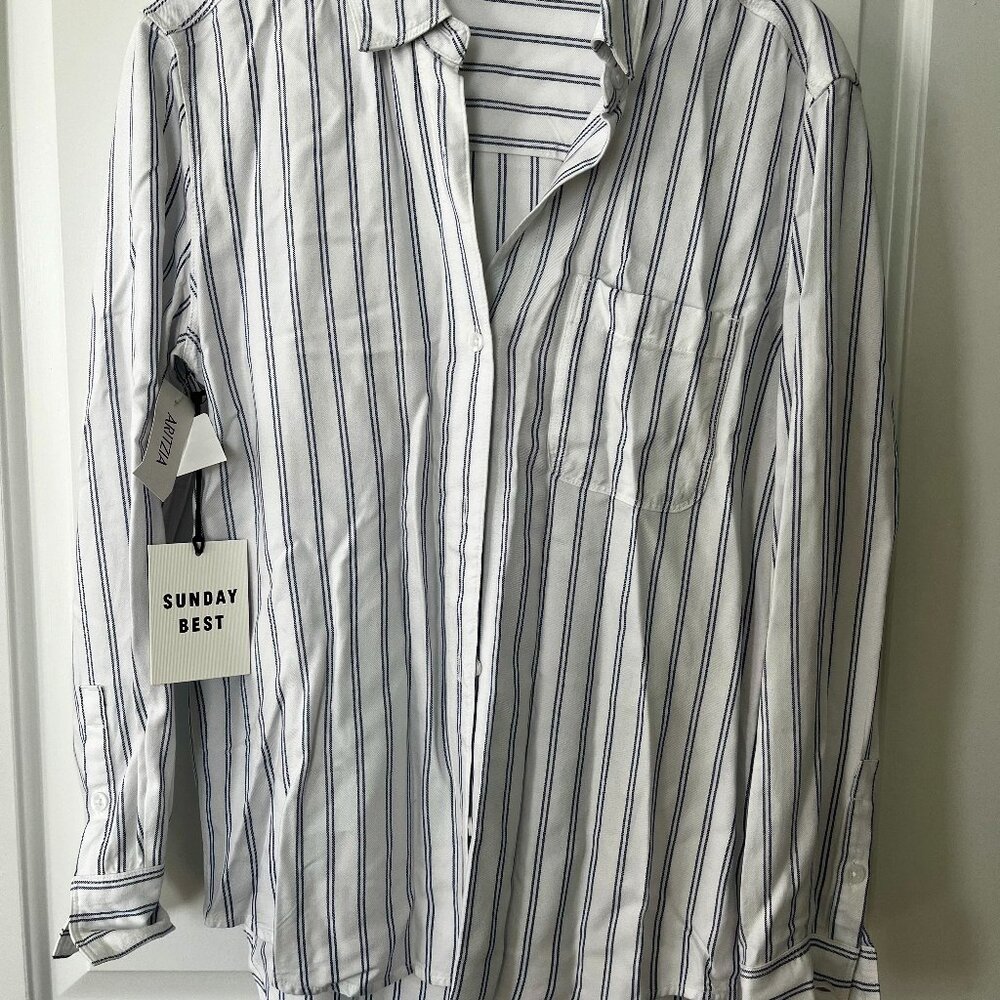 Aritzia Sunday Best Button Down Shirt